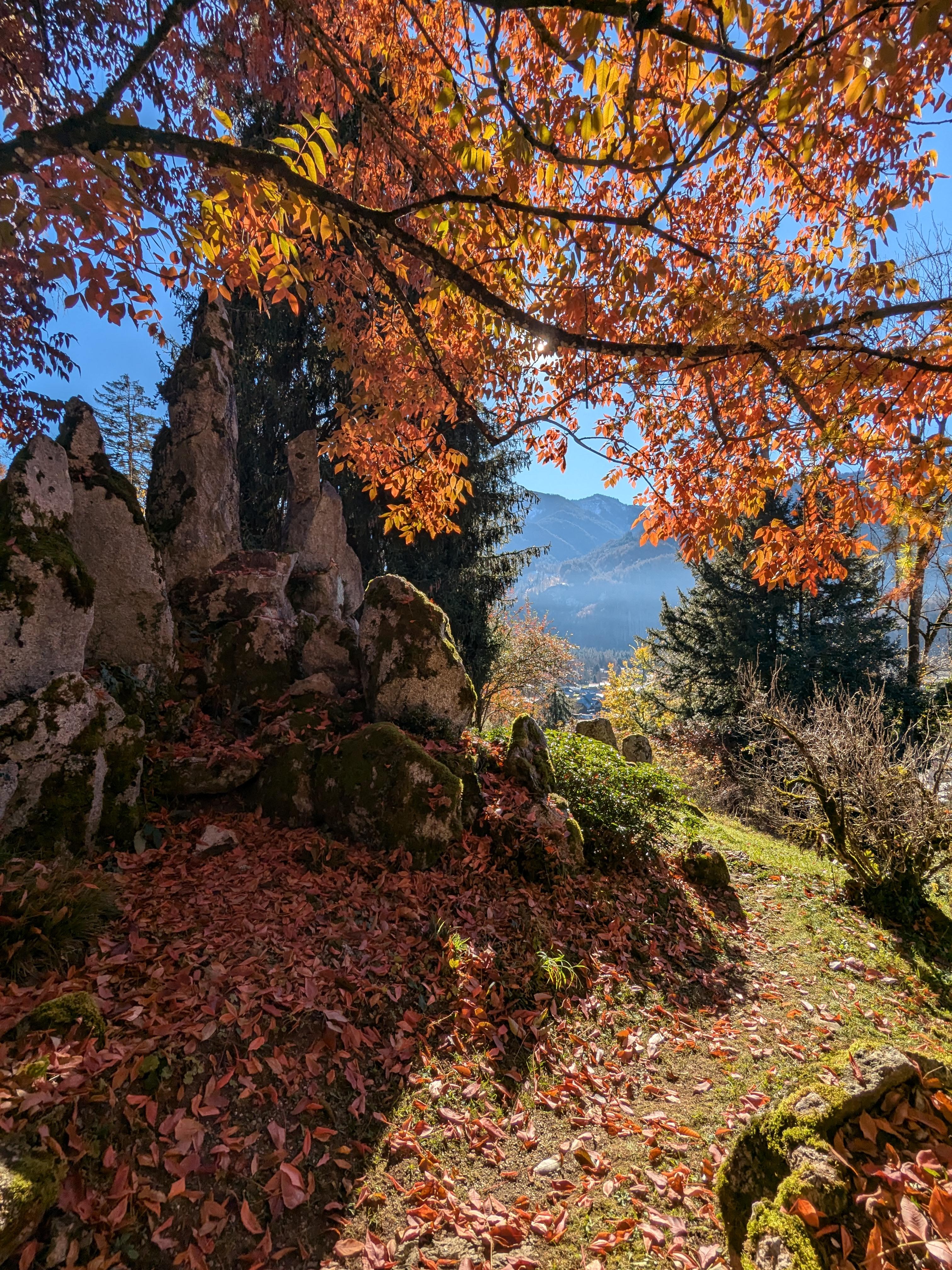 Autumn colours at the Jardin Botanique