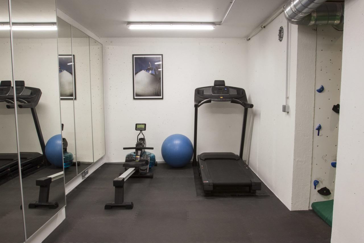 Gym - Rower, running machine, multigym, free weights and yoga mats